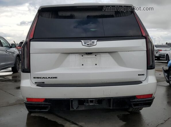 1GYS4GKL7PR556996 2023 CADILLAC ESCALADE White Rear view