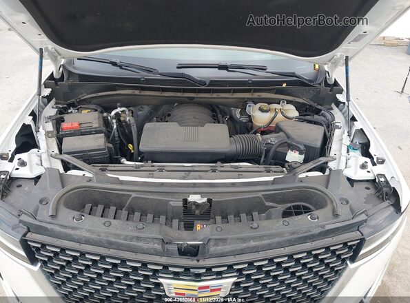 1GYS4KKL3PR114963 2023 CADILLAC ESCALADE Белый Вид сзади