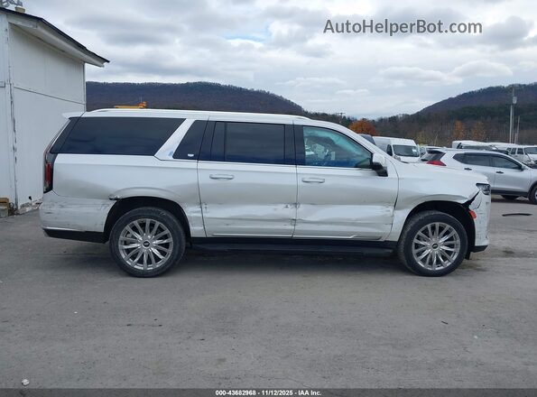 1GYS4KKL3PR114963 2023 CADILLAC ESCALADE Белый Вид задней части салона