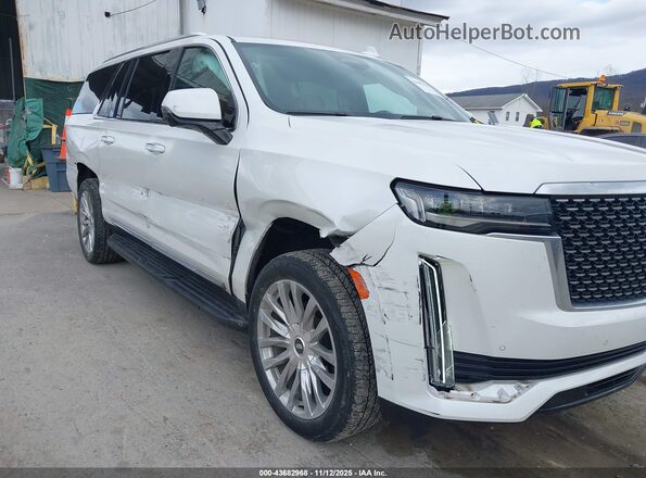 1GYS4KKL3PR114963 2023 CADILLAC ESCALADE Белый Вид спереди