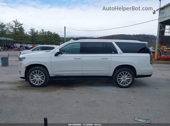 1GYS4KKL3PR114963 2023 CADILLAC ESCALADE Белый Панорамный вид салона 360°