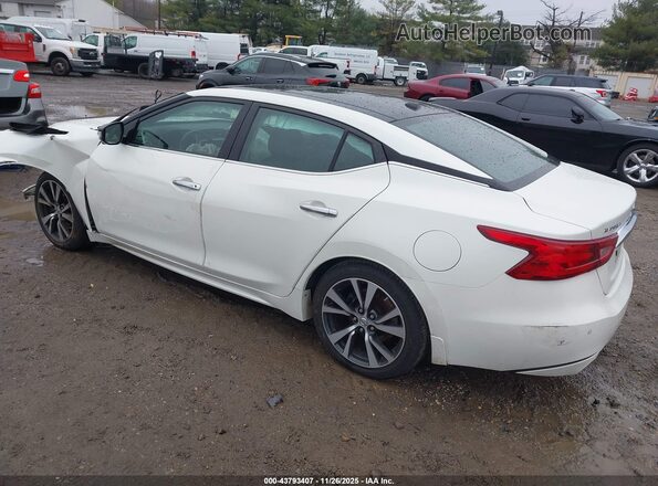 1N4AA6AP0HC384104 2017 NISSAN MAXIMA Белый Задняя левая четверть
