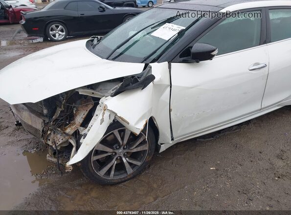 1N4AA6AP0HC384104 2017 NISSAN MAXIMA Белый Вид спереди