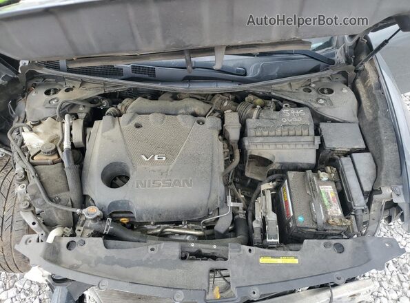 1N4AA6AP9GC421553 2016 NISSAN MAXIMA Gray Սալոնի հետևի տեսք
