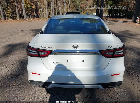 1N4AA6CV0PC511623 2023 NISSAN MAXIMA White 
