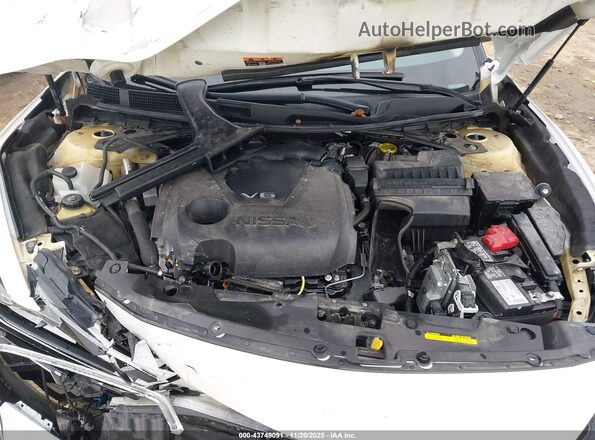 1N4AA6FV8PC501000 2023 NISSAN MAXIMA PLATINUM Белый Вид сзади