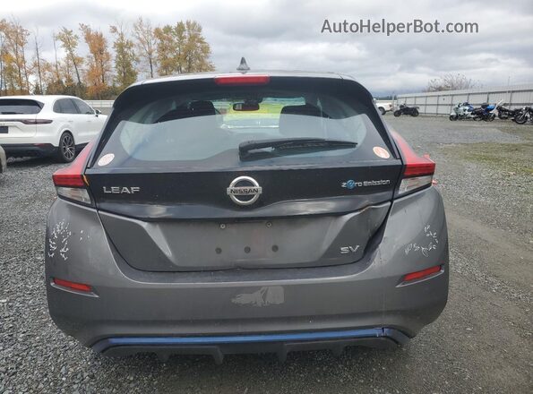 1N4AZ1CP2JC308169 2018 NISSAN LEAF Серый 