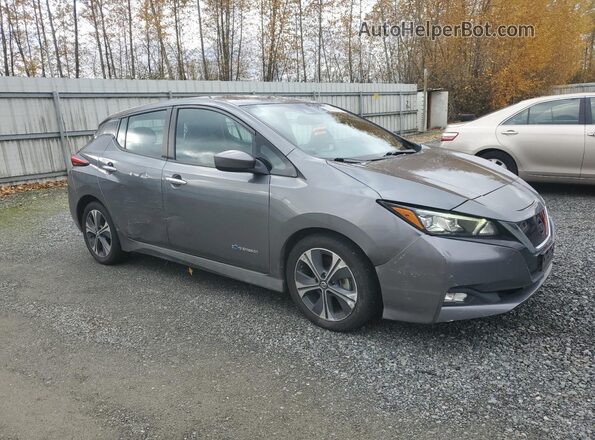 1N4AZ1CP2JC308169 2018 NISSAN LEAF Серый 