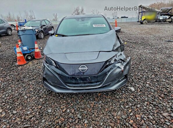 1N4CZ1CV2PC558933 2023 NISSAN LEAF Gray Widok z przodu
