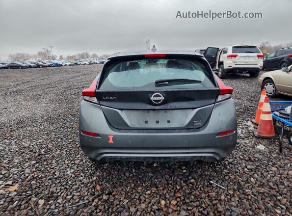 1N4CZ1CV2PC558933 2023 NISSAN LEAF Gray Widok z tyłu