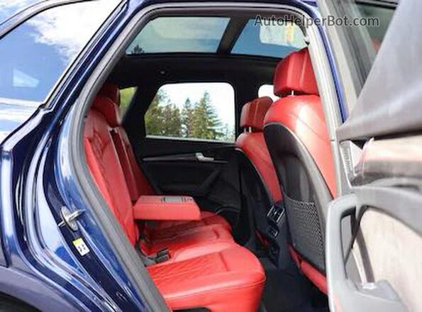 WA1B4AFY0K2077517 2019 AUDI SQ5 Синий Вид сзади