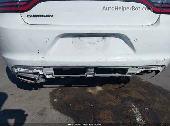 2C3CDXBG7PH604045 2023 DODGE CHARGER White 