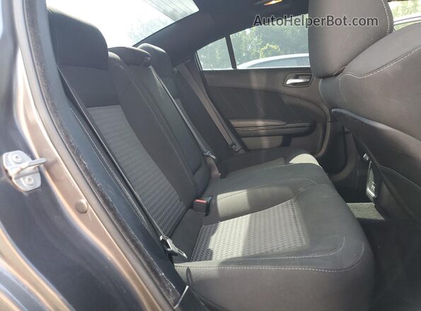 2C3CDXHG6LH186529 2020 DODGE CHARGER Gray Rear seats view