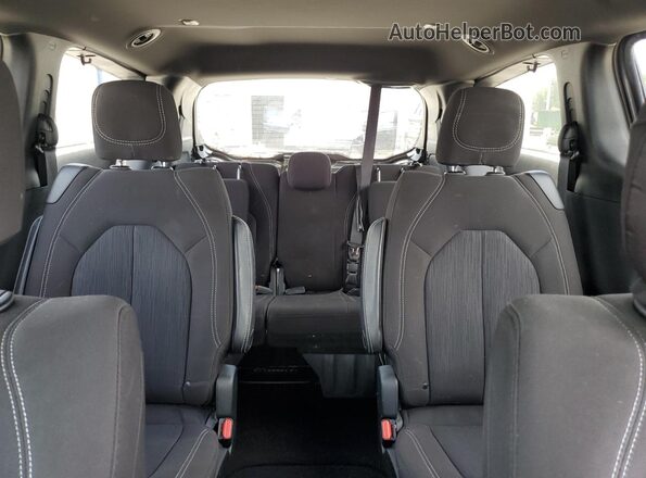 2C4RC1FG0LR140777 2020 CHRYSLER PACIFICA Charcoal Rear seats view