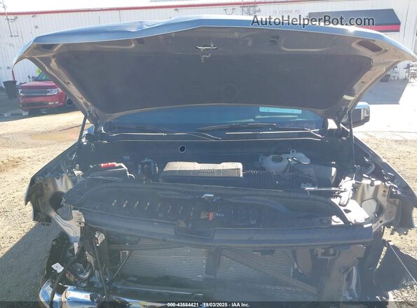 2GCUKDED7S1105575 2025 CHEVROLET SILVERADO Pewter Widok z tyłu