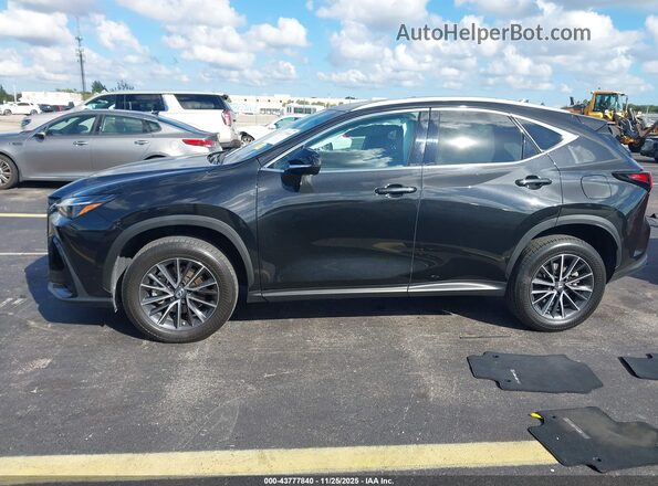2T2ADCAZ2PC005588 2023 LEXUS NX 250 Черный Панорамный вид салона 360°