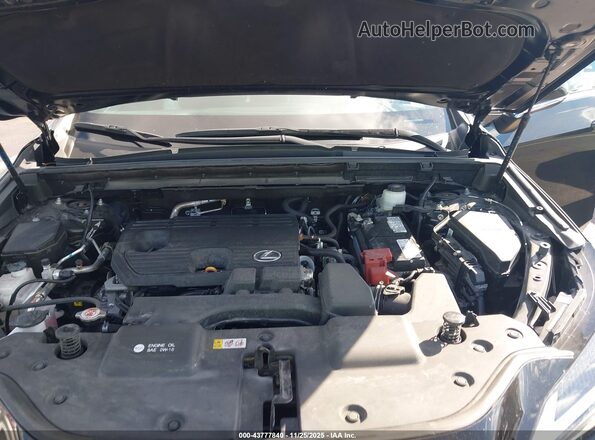 2T2ADCAZ2PC005588 2023 LEXUS NX 250 Черный Вид сзади
