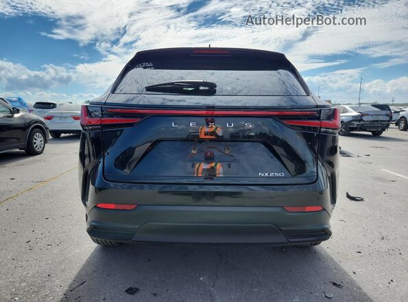 2T2ADCAZ4RC013355 2024 LEXUS NX Черный 