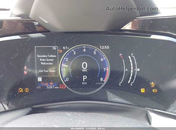 2T2ADCAZ4SC026581 2025 LEXUS NX 250 Orange უკანა სავარძლების ხედი