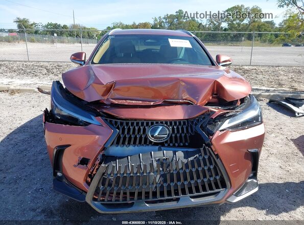 2T2ADCAZ4SC026581 2025 LEXUS NX 250 Orange ხელსაწყოთა პანელის ხედი