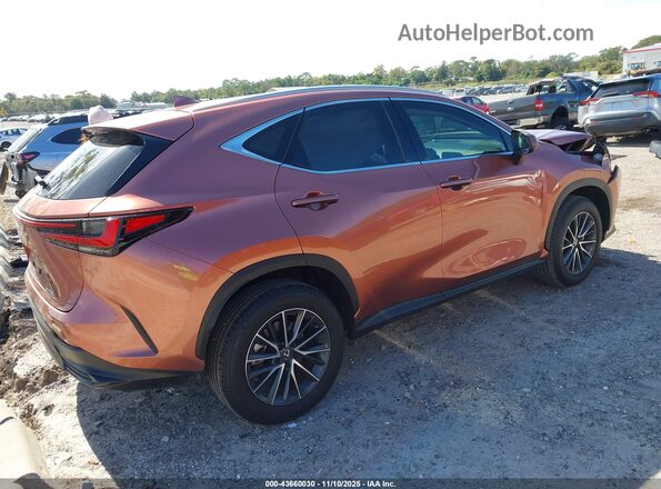 2T2ADCAZ4SC026581 2025 LEXUS NX 250 Orange უკანა მარჯვენა