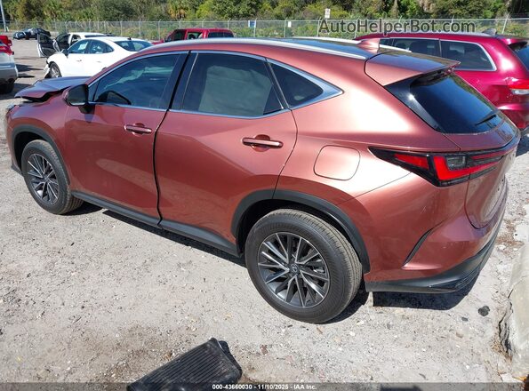 2T2ADCAZ4SC026581 2025 LEXUS NX 250 Orange უკანა მარცხენა