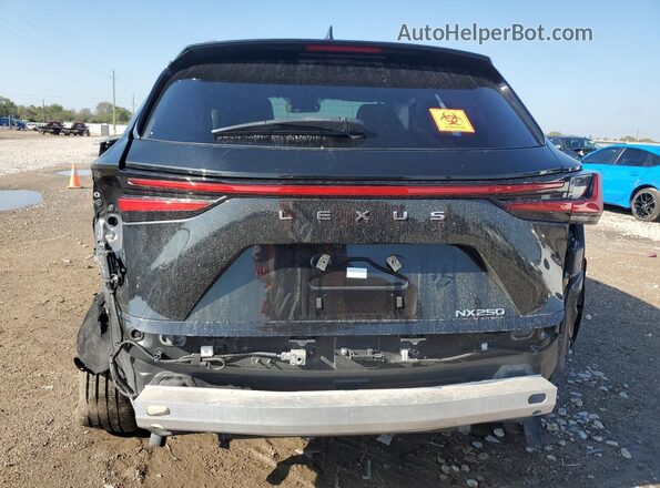 2T2ADCAZ6RC012921 2024 LEXUS NX Black Вид ззаду