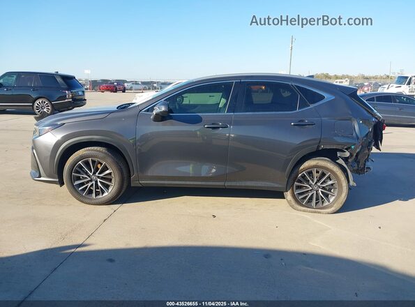 2T2ADCAZ6SC020989 2025 LEXUS NX 250 Gray სალონის 360-გრადუსიანი ხედი