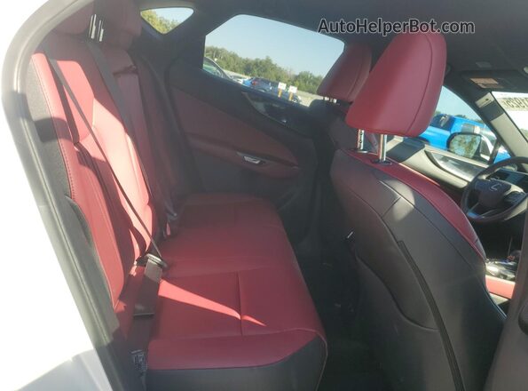 2T2ADCAZ7SC019270 2025 LEXUS NX White Rear seats view