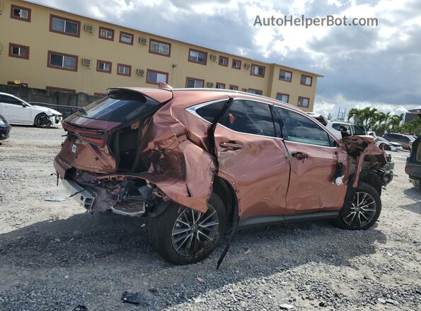 2T2ADCAZ8SC022548 2025 LEXUS NX Tan Trasero derecho