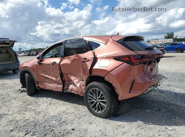 2T2ADCAZ8SC022548 2025 LEXUS NX Tan Trasero izquierdo