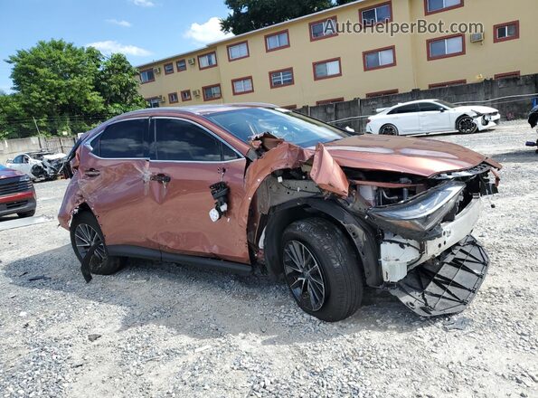 2T2ADCAZ8SC022548 2025 LEXUS NX Tan 