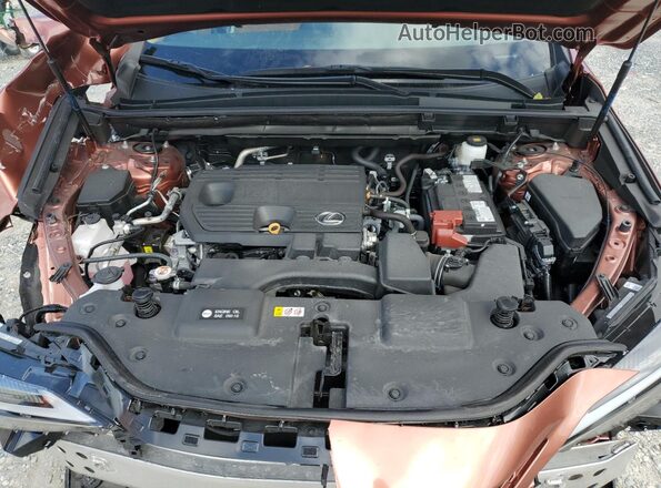 2T2ADCAZ8SC022548 2025 LEXUS NX Tan 