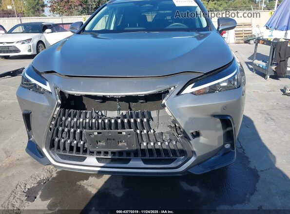 2T2ADCAZ9SC018329 2025 LEXUS NX 250 Gray Rear interior view
