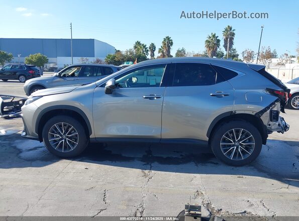 2T2ADCAZ9SC018329 2025 LEXUS NX 250 Gray 