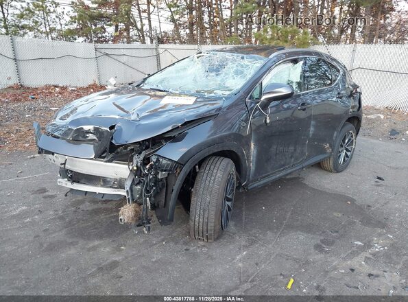 2T2AGCEZ1RC033922 2024 LEXUS NX 350 Gray Front left