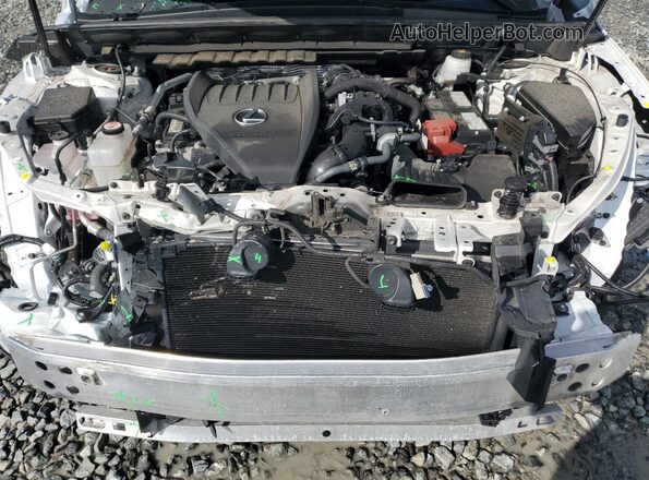 2T2AGCEZ1RC034102 2024 LEXUS NX Белый Вид подкапотного пространства
