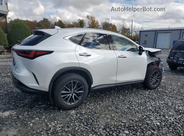 2T2AGCEZ1RC034102 2024 LEXUS NX Белый Задняя правая четверть