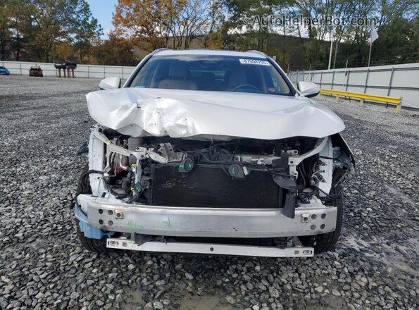 2T2AGCEZ1RC034102 2024 LEXUS NX Белый Вид спереди
