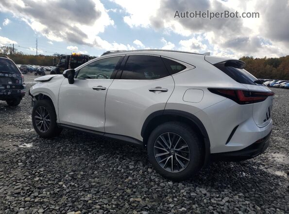 2T2AGCEZ1RC034102 2024 LEXUS NX Белый Задняя левая четверть