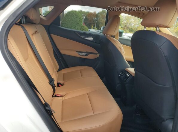 2T2AGCEZ1RC034102 2024 LEXUS NX Белый Вид задней части салона