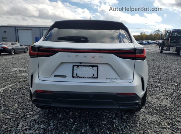 2T2AGCEZ1RC034102 2024 LEXUS NX Белый Вид сзади