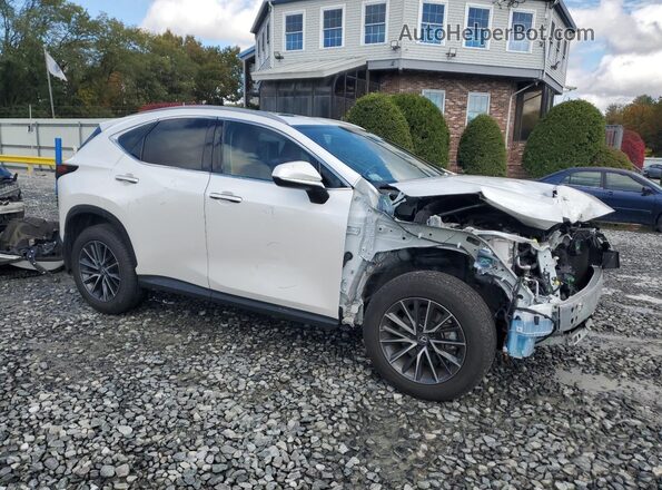 2T2AGCEZ1RC034102 2024 LEXUS NX Белый Передняя правая четверть
