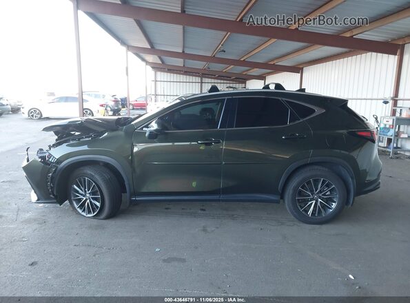 2T2AGCEZ3RC035431 2024 LEXUS NX 350 Green 