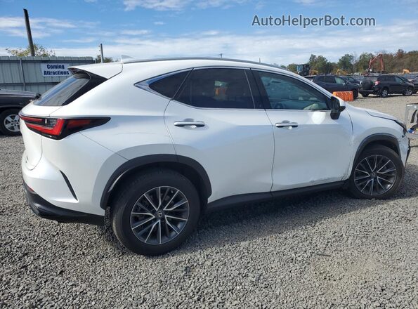 2T2AGCEZ8NC010034 2022 LEXUS NX White უკანა მარჯვენა