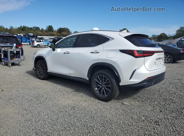 2T2AGCEZ8NC010034 2022 LEXUS NX White უკანა მარცხენა