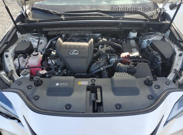 2T2AGCEZ8NC010034 2022 LEXUS NX White ძრავის განყოფილების ხედი