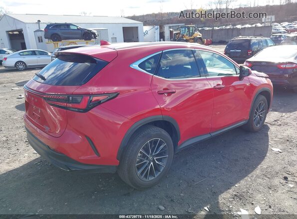 2T2AGCEZXSC083546 2025 LEXUS NX 350 Red Задня права чверть