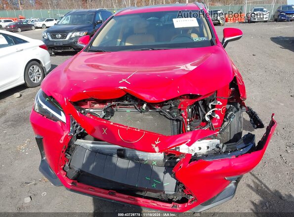 2T2AGCEZXSC083546 2025 LEXUS NX 350 Red Вид спереду