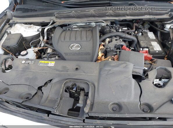 2T2BAMBA1PC016755 2023 LEXUS RX 350 White Հետևի տեսք
